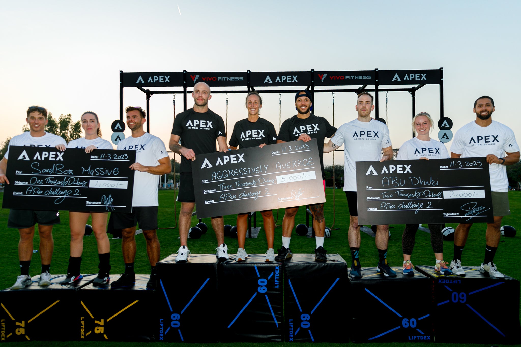 APEX Challenge 3