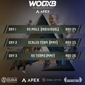 APEX Challenge 3